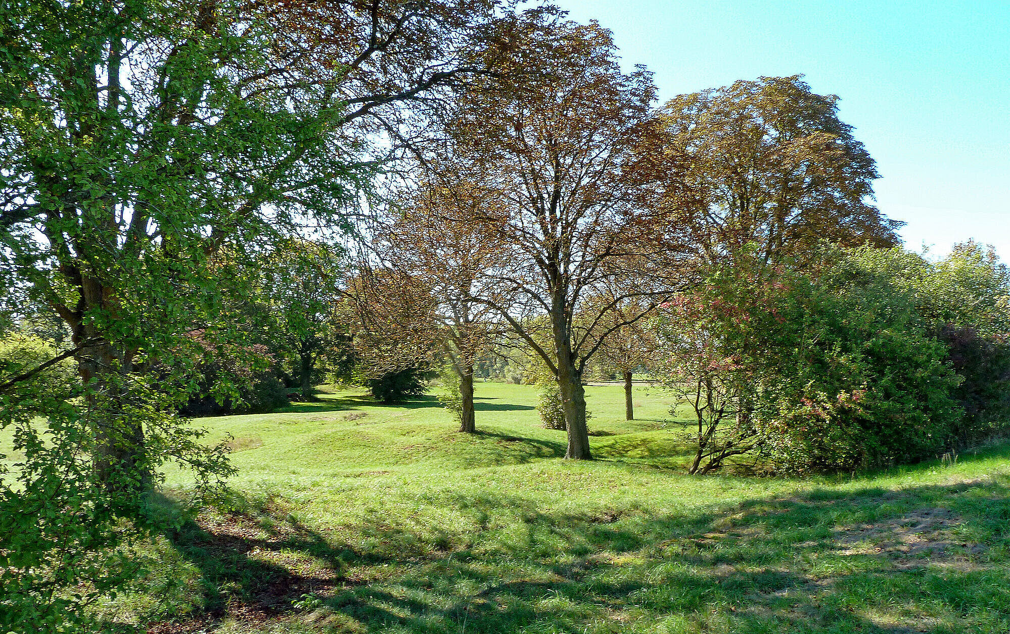 Der Gipsrundweg im Sonnenlicht führt durch die idyllische Landschaft der Sulzheimer Gipshügel (Foto: Winfried Berner).