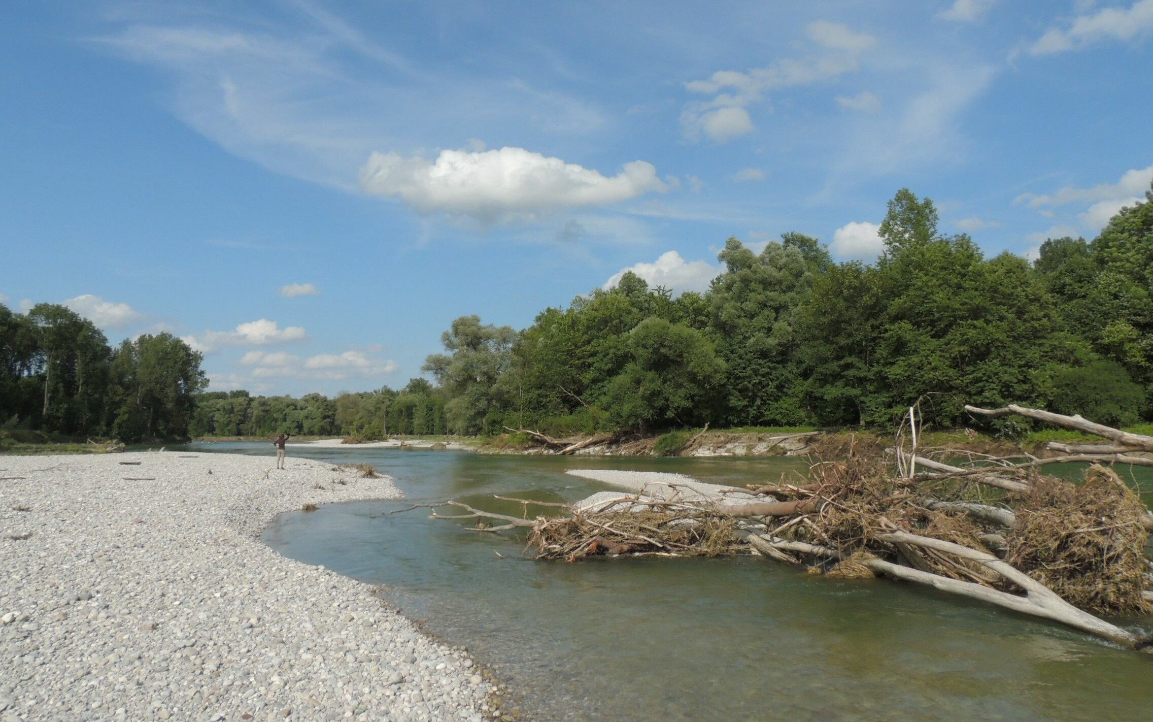 Okosystem Fluss Bund Naturschutz Bn