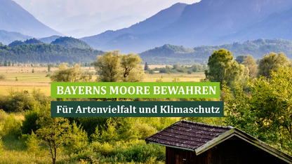 Ihre Spende wirkt!