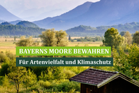 Ihre Spende wirkt!