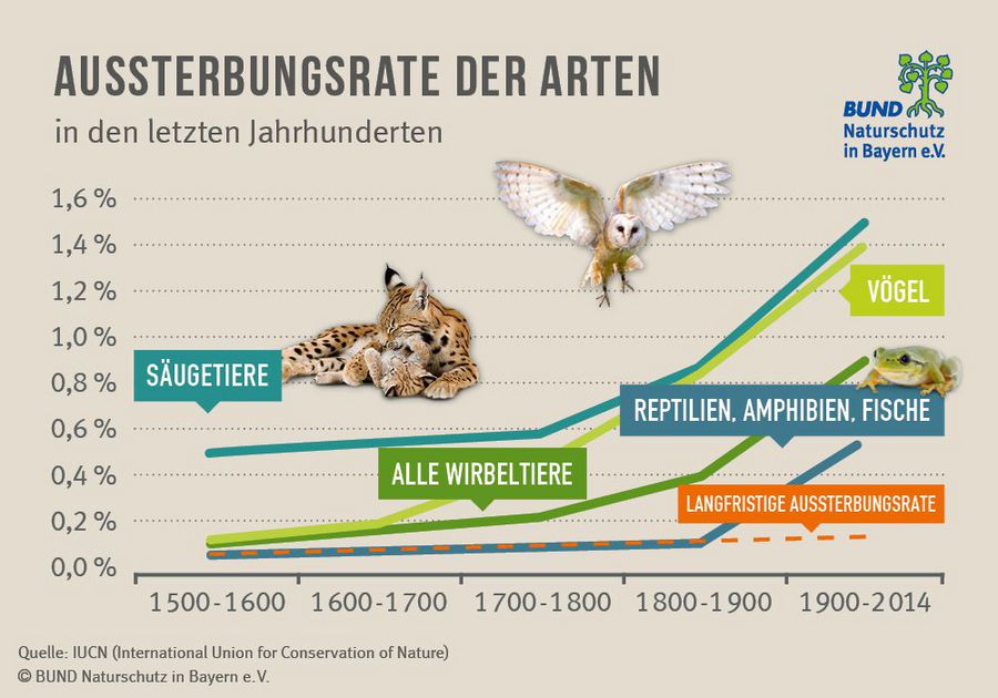 Artenschutz In Bayern | BUND Naturschutz (BN)