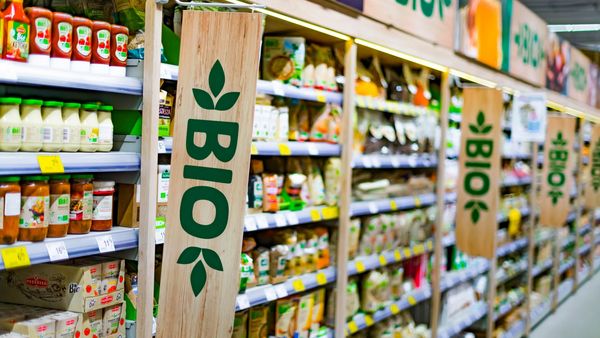 Bio-Produkte sind nachhaltiger als konventionell erzeugte Ware und damit die bessere Wahl - egal ob im Discounter oder im Bio-Laden. (Foto: monticellllo/stock.adobe.com) Discounter-Bio: Supermarkt-Regale mit Bio-Produkten.