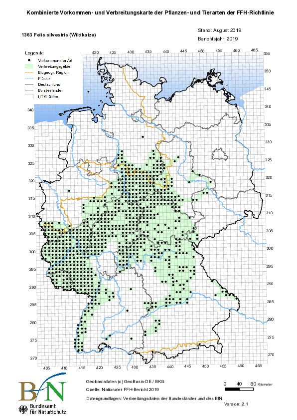 Eine Karte zeigt mit schwarzen Punkten, wo die Europäische Wildkatze in Deutschland vorkommt.