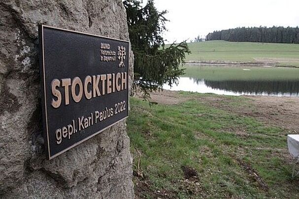 Stockteich Biotop im Dangesbachtal Thierstein Fichtelgebirge