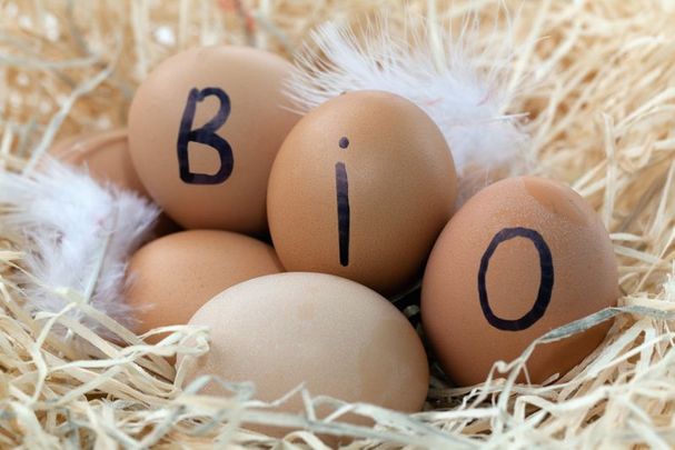 Bio-Eier (Foto: yamix/fotolia.com) Fünf Bio-Eier im Stroh (Foto: yamix/Fotolia)