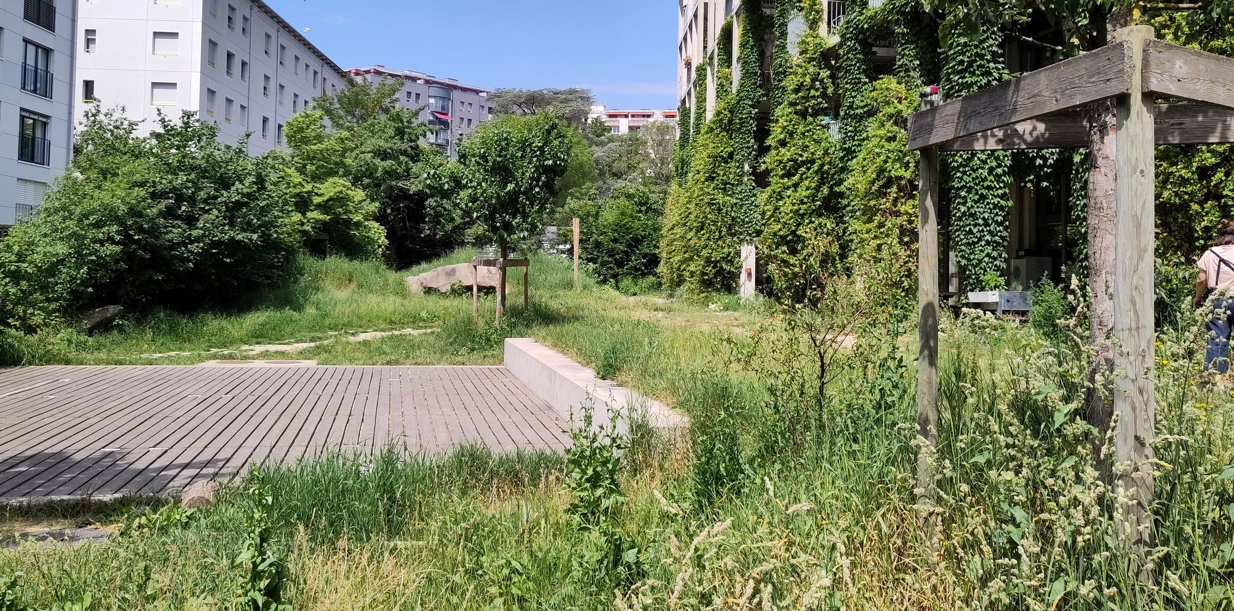 Eine schweizerische Wohnanlage mit grünem Innenhof, unter dem Holzrost links befindet sich ein Komposter für Toilettenabwasser: Das Abwasser in Bayern muss anders behandelt werden. (Bild: Annette Jensen)