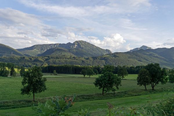 Bergener Moos (Foto: A. Harrer/Wikimedia. Lizenz: https://creativecommons.org/licenses/by-sa/4.0/deed.en)