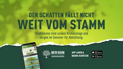 Bäume melden, entdecken und beschützen!