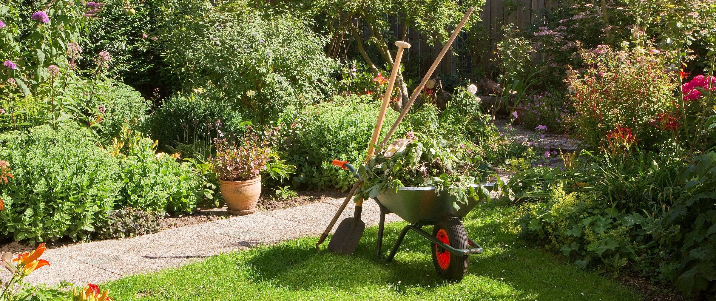 Eine Schubkarre steht in einem strukturreichen Garten mit vielen verschiedenen Pflanzen. Alles ist grün und blüht.