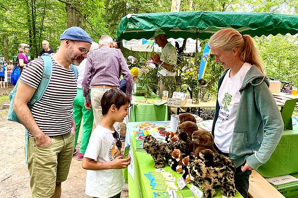 Die Kuscheltiere stoßen auf Interesse