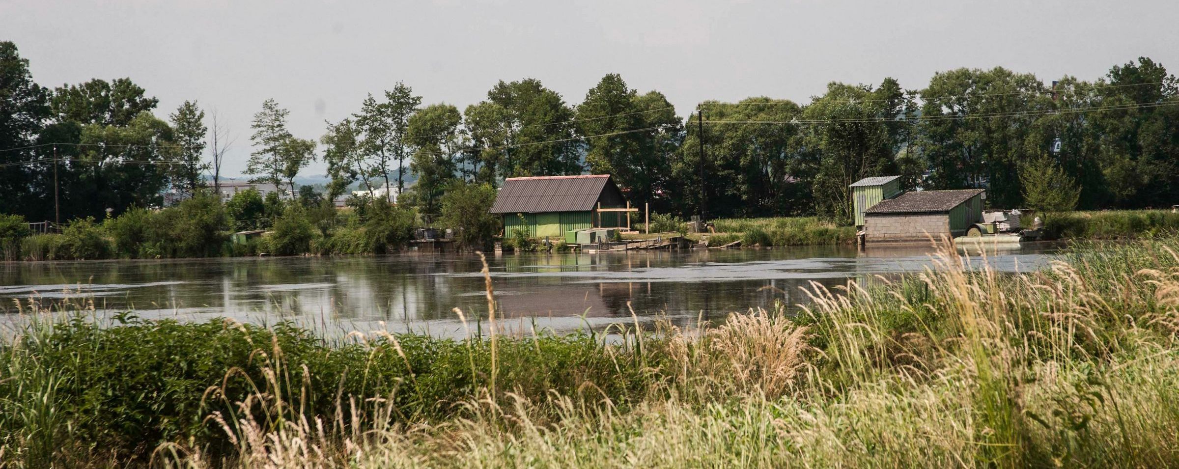 Naturnahe Teichwirtschaft wie hier im Bild ist eine der möglichen Ausnahmen des Wassercent Bayern. (Foto: Elmar Gubisch/stock.adobe.com)