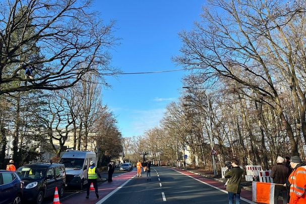 Aufbau der ersten Eichhörnchenbrücke am 10. Dezember 2025 in Nürnberg (Foto: Martina Gehret)