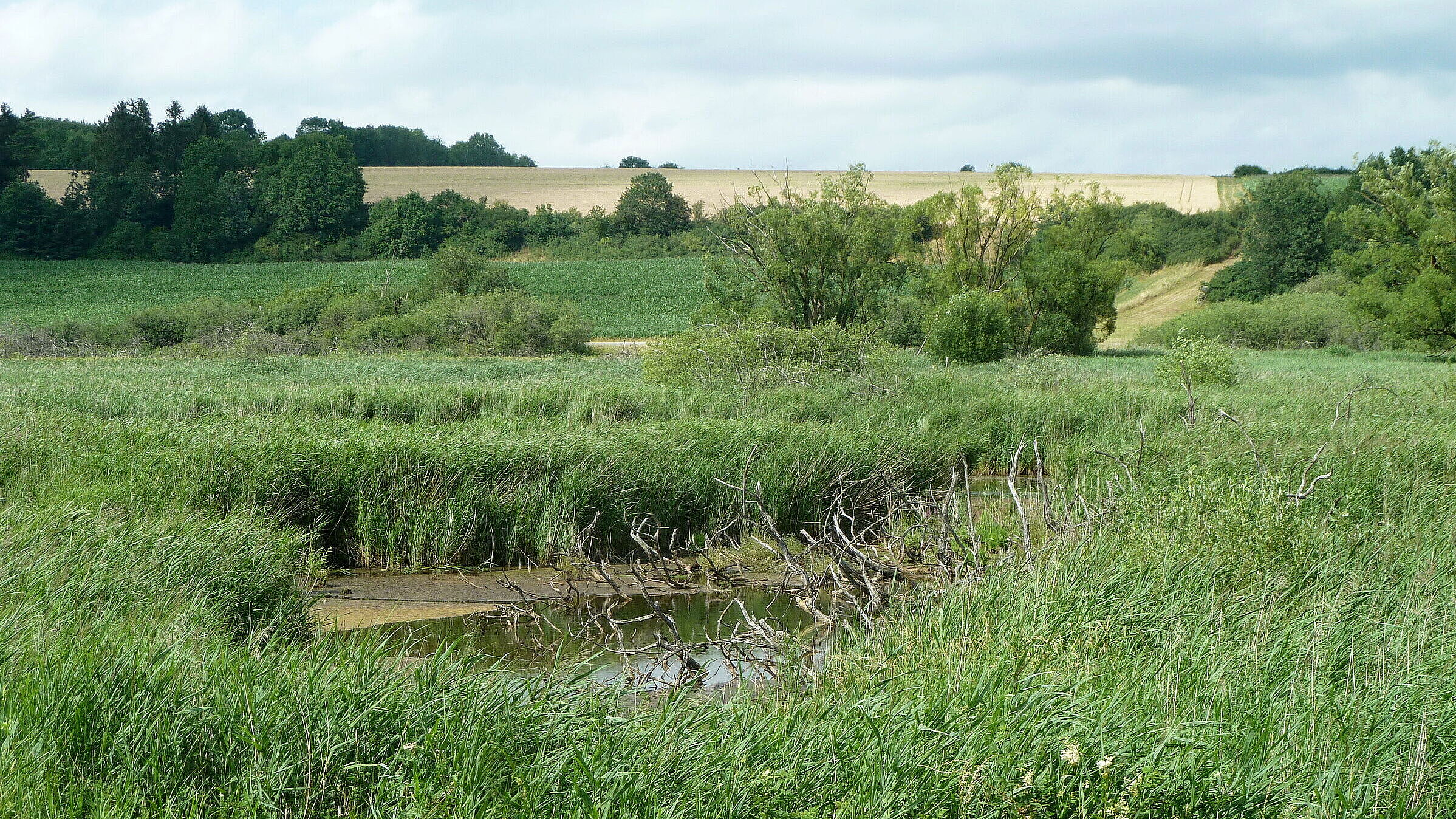 Deusmauer Moor - gerettete Landschaft | BUND Naturschutz