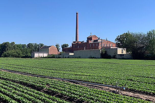 ehemalige Hefefabrik in Buch