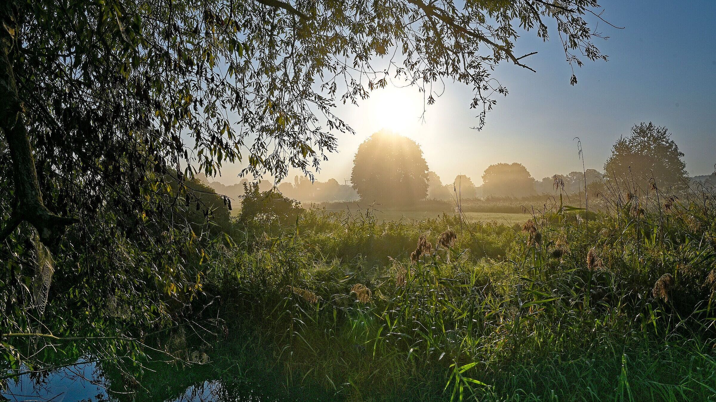 Blick über die Paar im Goachat, dahinter Wiesen im Sonnenaufgang (Foto: Manfred Schalk)