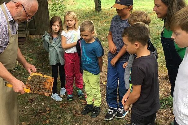 Kindergruppe Wilde Bienen zu Besuch beim Imker, hier zeigt Imker Theo Stahl eine Wabe, Foto Ulrich Geißler