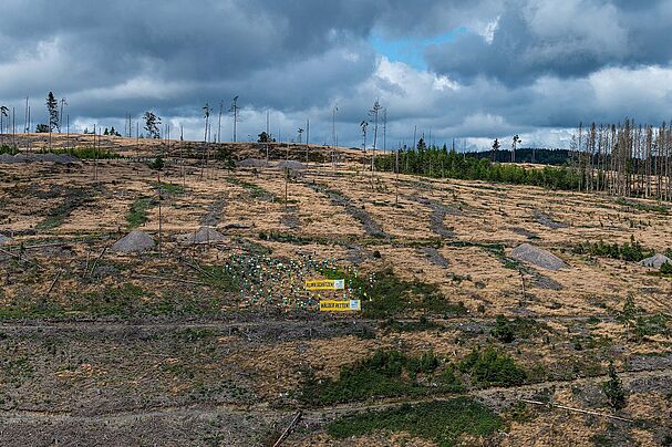 Waldsterben 2.0 im Frankenwald-BN Fotoaktion, Foto Toni Mader