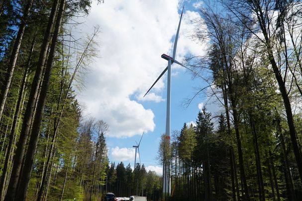 Ein Windrad im Wald zwischen Bäumen: Die BN-Kriterienliste Vorranggebiete Windenergie nennt klare Vorgaben für den naturverträglichen Ausbau der Windenergie. (Bild: Franziska Wild)