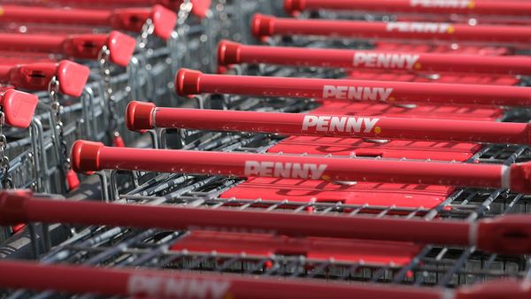 Die Masse macht´s: Die großen Abnahmemengen stark nachgefragter Waren beim Discounter senken den Preis. (Foto: Mario Hoesel/stock.adobe.com) Discounter-Bio: Viele Einkaufswägen eines Discounters stehen zusammengeschoben in einer Reihe.