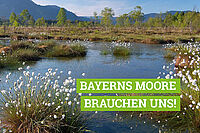 Bayerns Moore brauchen uns! Spenden Sie für Bayerns Moore und erhalten Sie Lebensräume für seltene Tiere und Pflanzen.