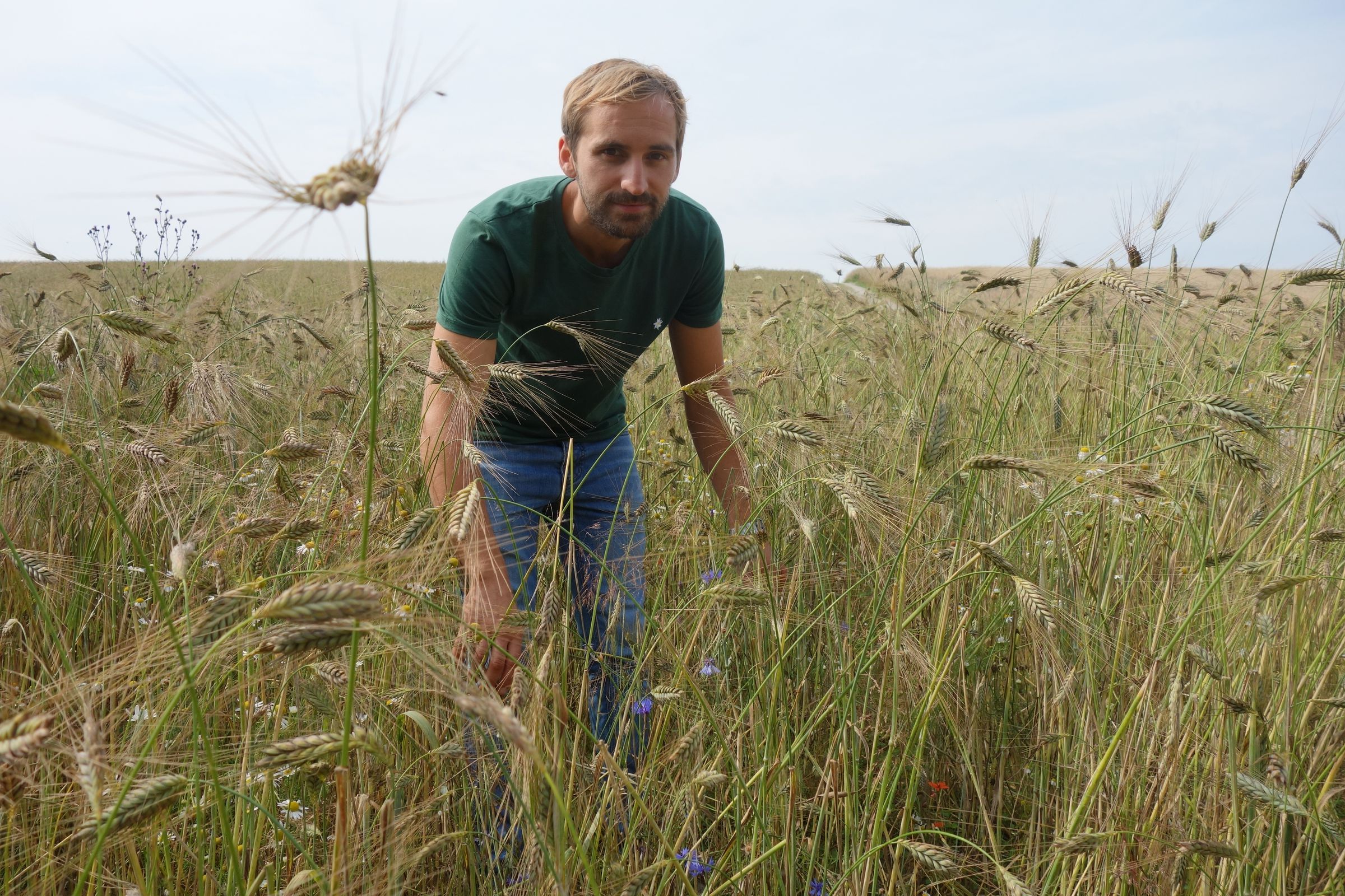 Der Sieger der Kategorie Ökologischer Landbau Simon Aunkofer in seinem Siegeracker (Foto: Dietmar Pilotek) Ein Mann steht in einem Getreidefeld mit bunten Ackerwildkräutern darin. Auf diesem Acker fanden die Juroren 50 verschiedene Ackerwildkräuter. (Foto: Dietmar Pilotek)