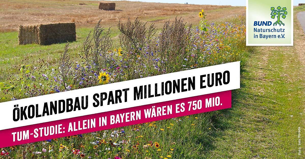 Ökolandbau Spart Der Gesellschaft In Bayern Millionen Euro An ...