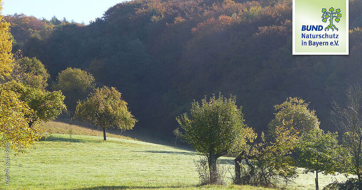 Ja Zur UNESCO-Biosphärenregion Spessart! | BUND Naturschutz (BN)