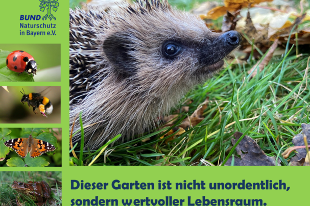 Gartenschild Igel