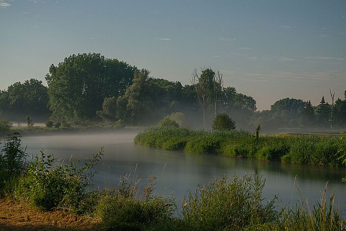 Blick über die Amper-Auen im Morgenlicht (Foto: Wolfgang Willner)