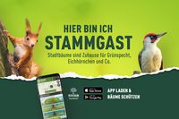 Bäume melden, entdecken und beschützen!