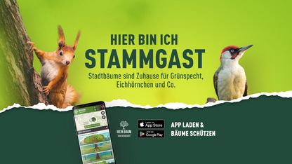 Bäume melden, entdecken und beschützen!