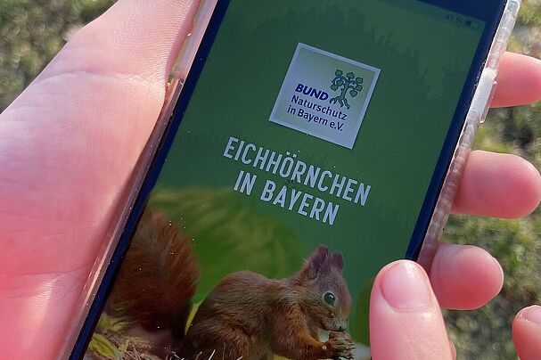 Eichhörnchen-App_Gehret