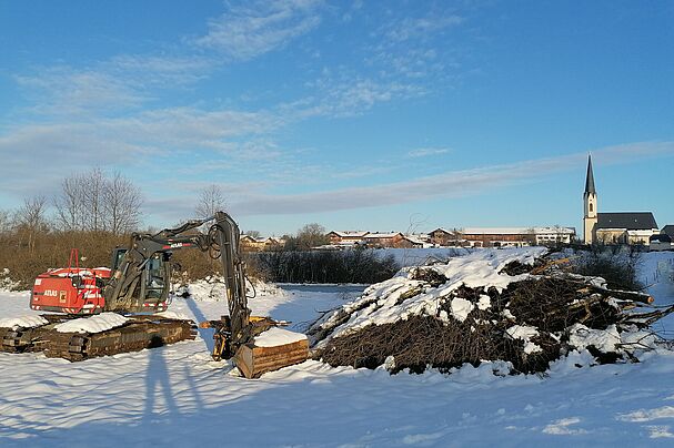 Amphibienbiotop im Winter